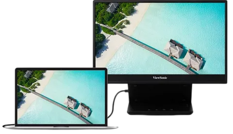 VX1655-4K-OLED